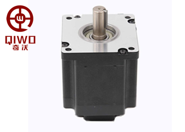 110mm Low Voltage BLDC Motors